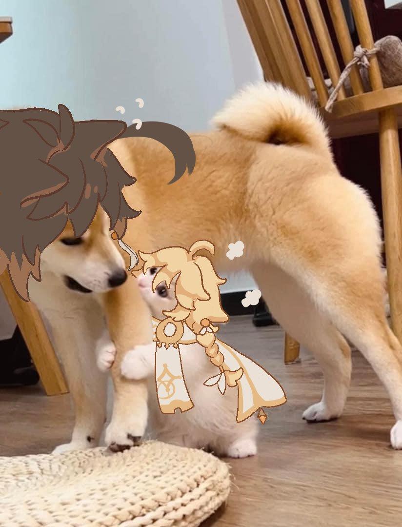 究竟是为什么你一直玩原神呀