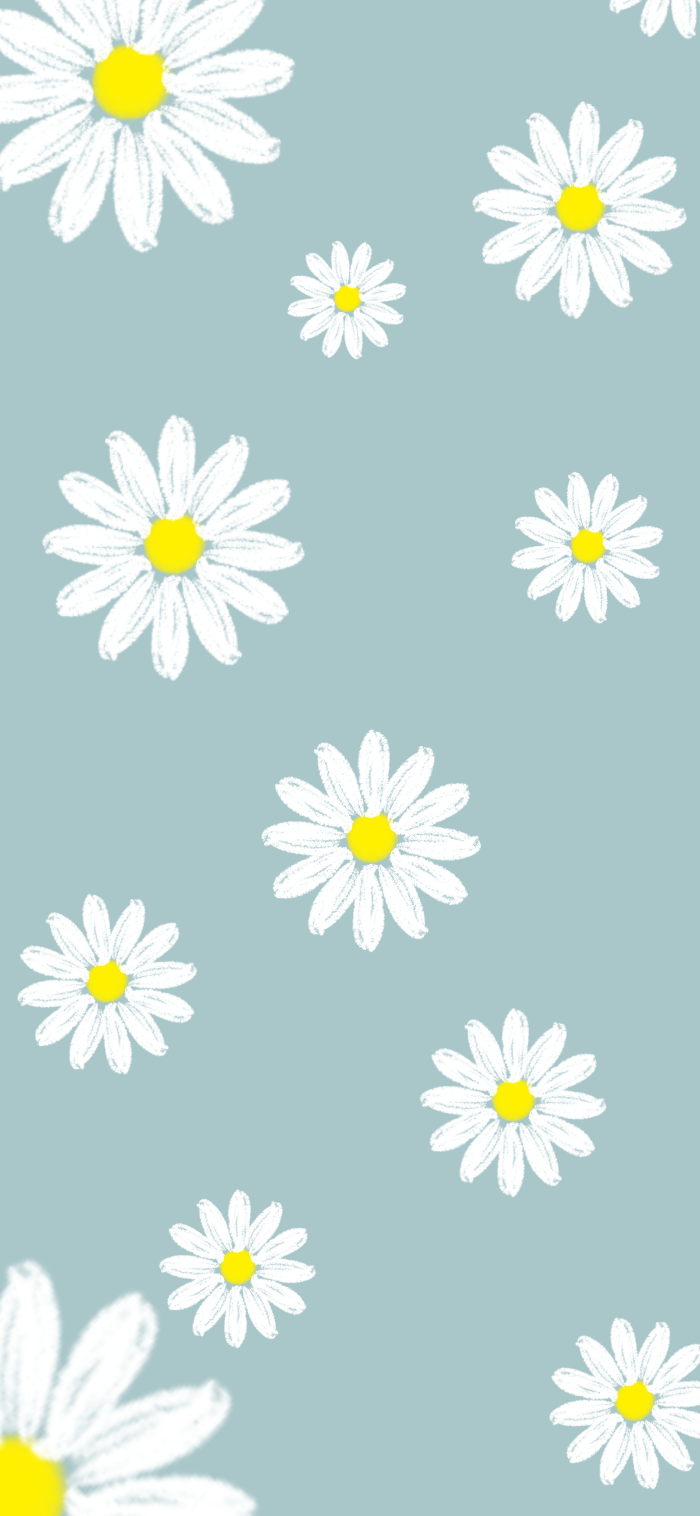 有没有好看的小雏菊壁纸