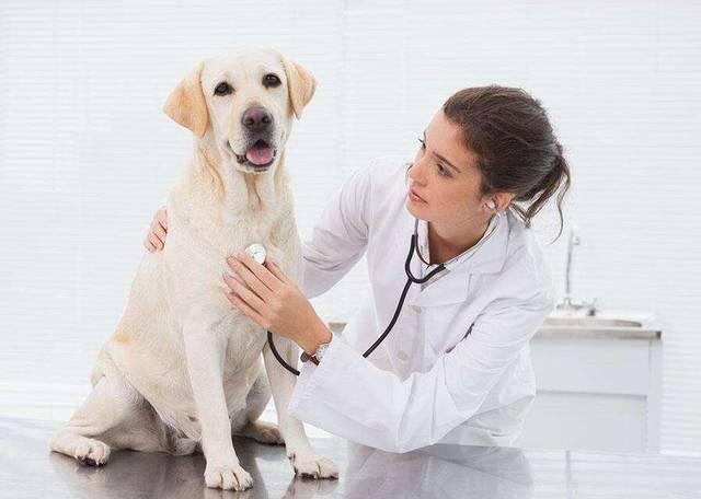 U8国际- U8国际官方网站- U8体育APP下载重启面馆生意 克明食品胜算几何