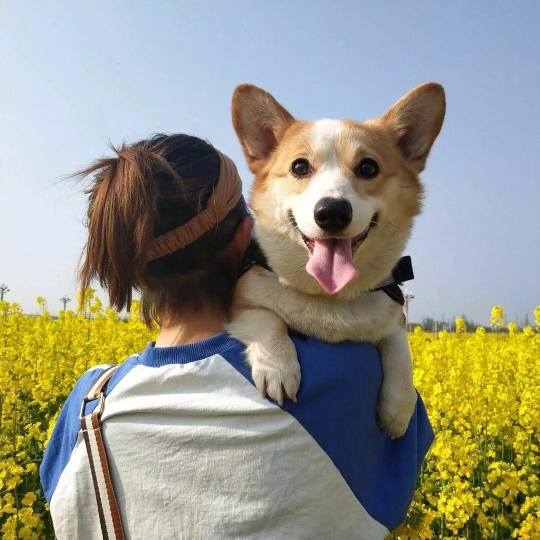 有哪些小众闺蜜头像什么类型都可