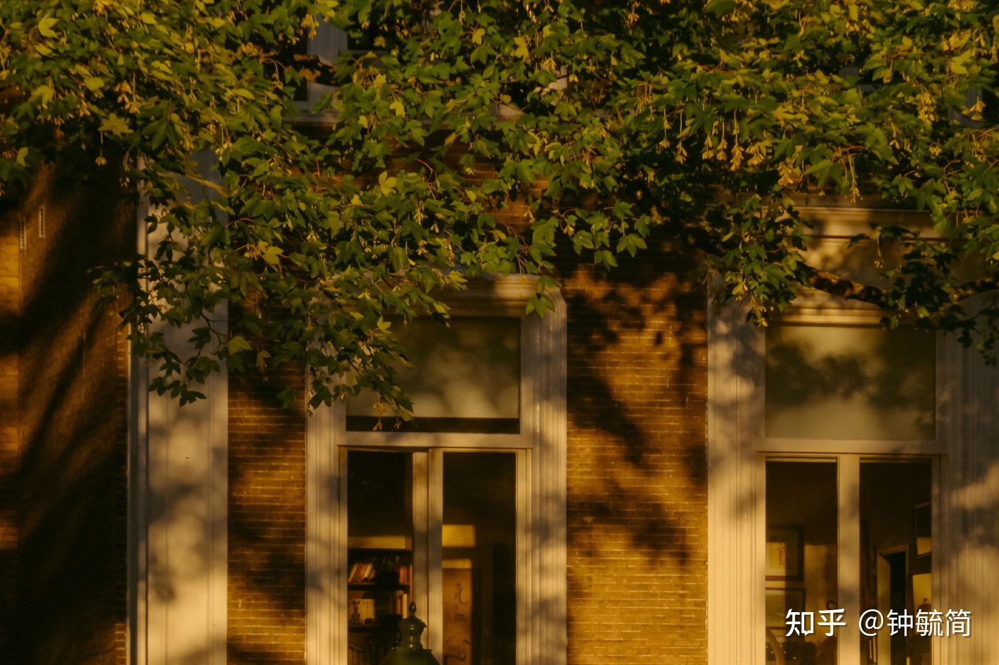 有哪些很有少年感的句子? - 知乎