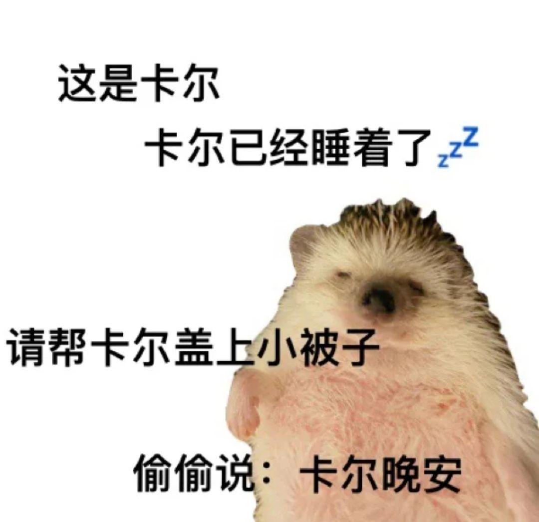 求刺猬卡尔表情包.哪哪都找不着? - 知乎