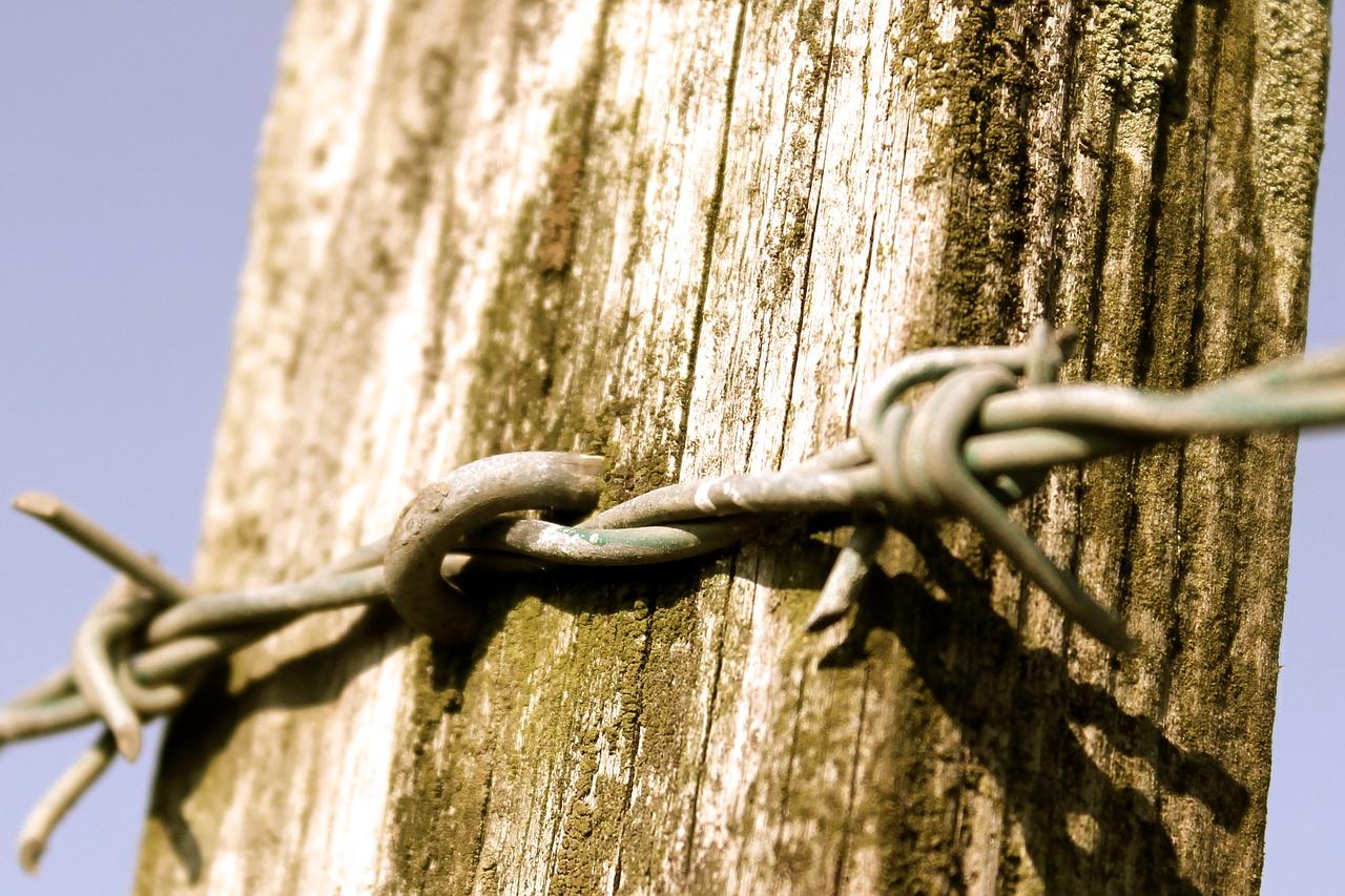 3. 电线绑扎方法