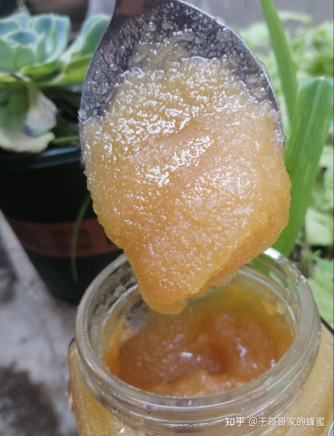 蜂蜜放冰箱两三年了还能喝吗会坏吗(蜂蜜放冰箱两年了,还可以喝吗?) 蜂蜜放冰箱两三年了还能喝吗会坏吗(蜂蜜放冰箱两年了,还可以喝吗?)