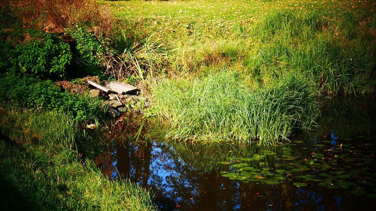 2. 防水层施工技巧