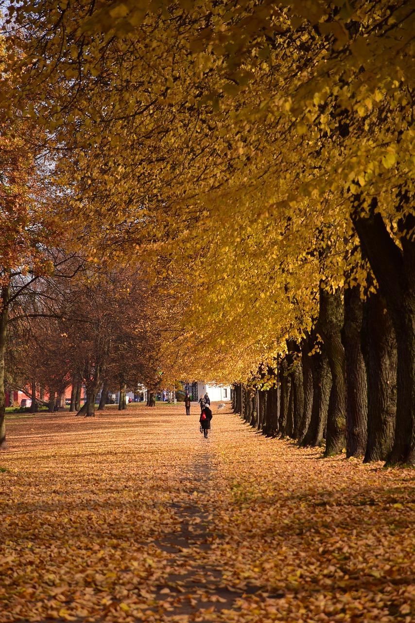 兴隆湖夏日风光