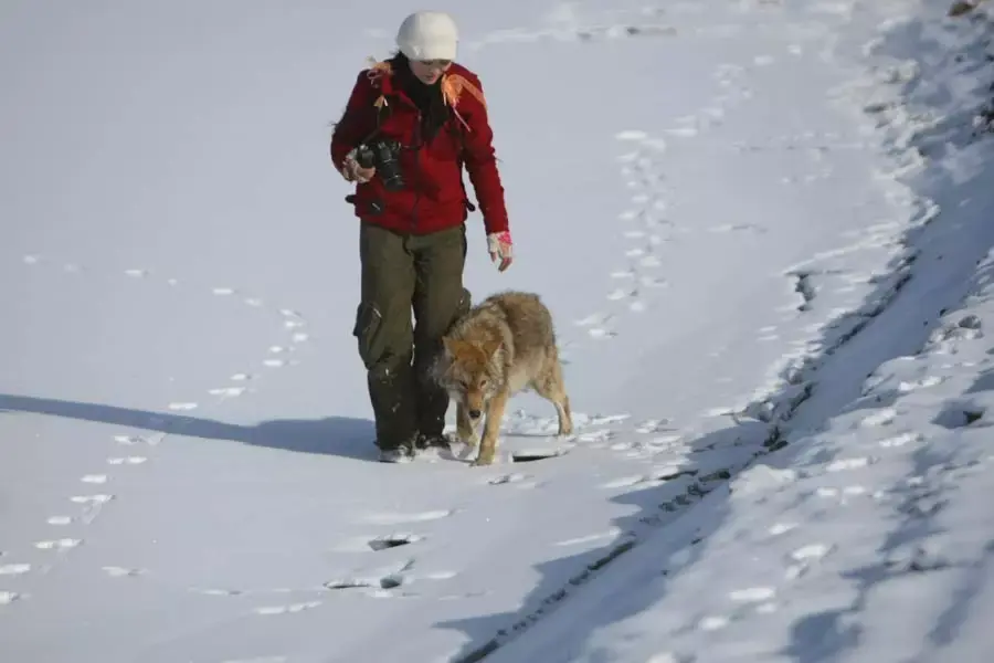 关于格林，我现在才看懂的部分