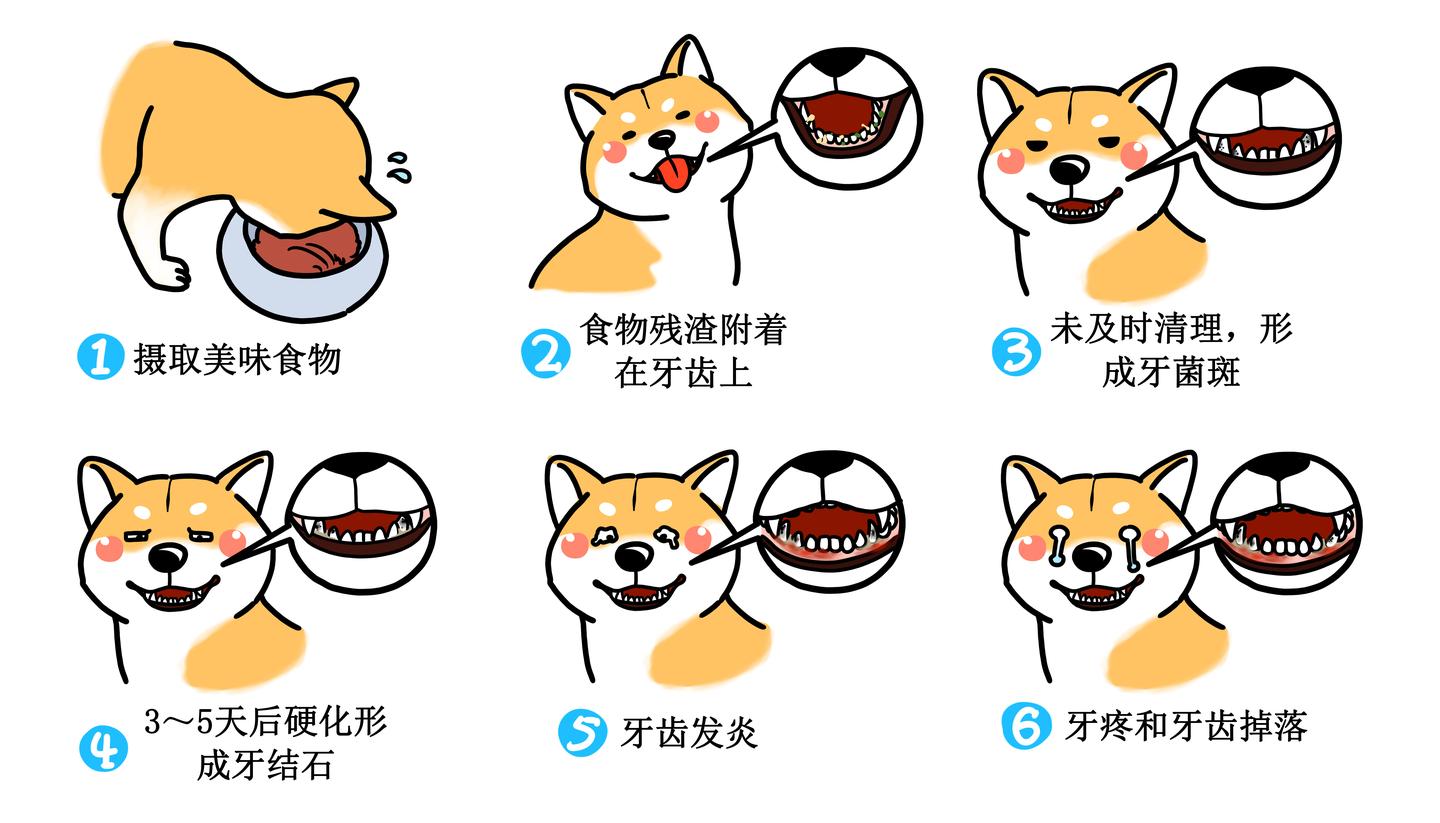 v2-1f3b31a3a27cf85c433878f914f5765c_1440w.jpg?source=172ae18b