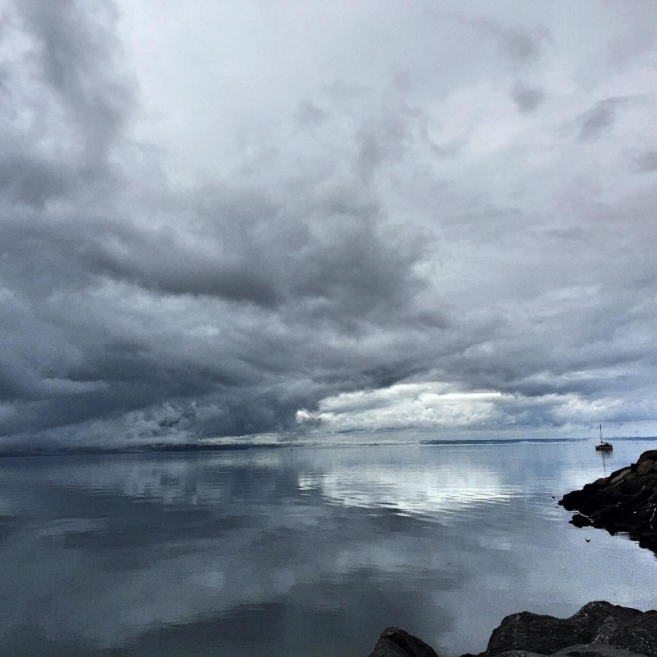 秋风扫落叶的悲凉