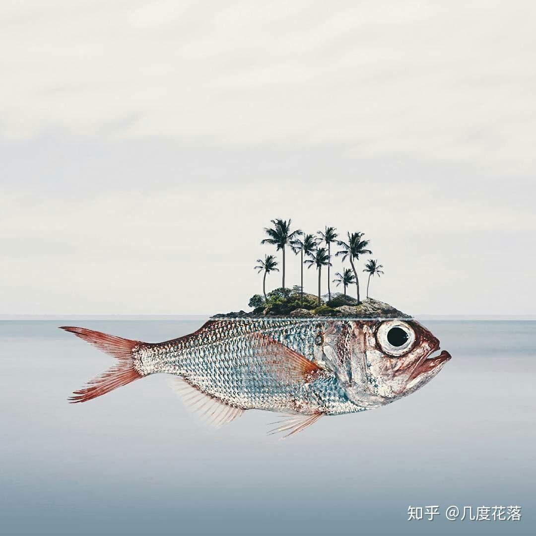 请问有没有好看的鱼图片或者头像? - 知乎