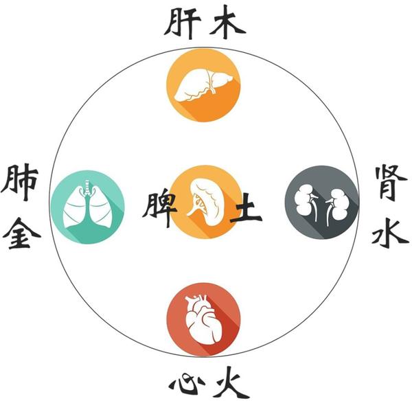 十个孩子九个脾虚,冬季养脾攻略! - 知乎