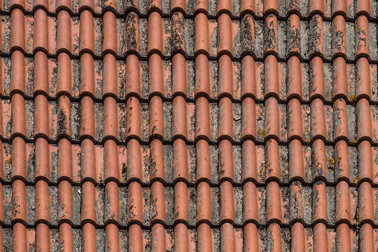 4. 钢筋花园设计