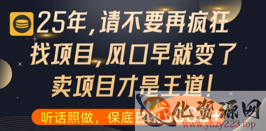 什么？25年你还在疯狂找项目做，醒醒吧，看完这些你全都懂了【揭秘】