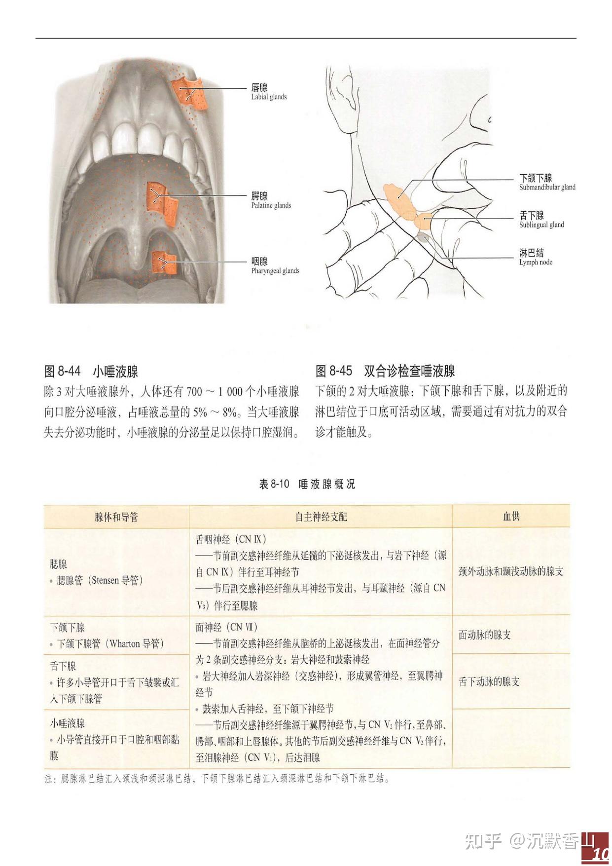 口腔解剖生理学-唾液腺与唾液思维导图 - 知乎
