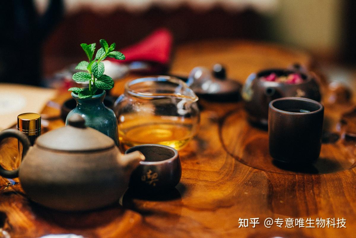 茶疗新纪元:探索传统智慧的商业蓝海与健康经济价值 - 知乎
