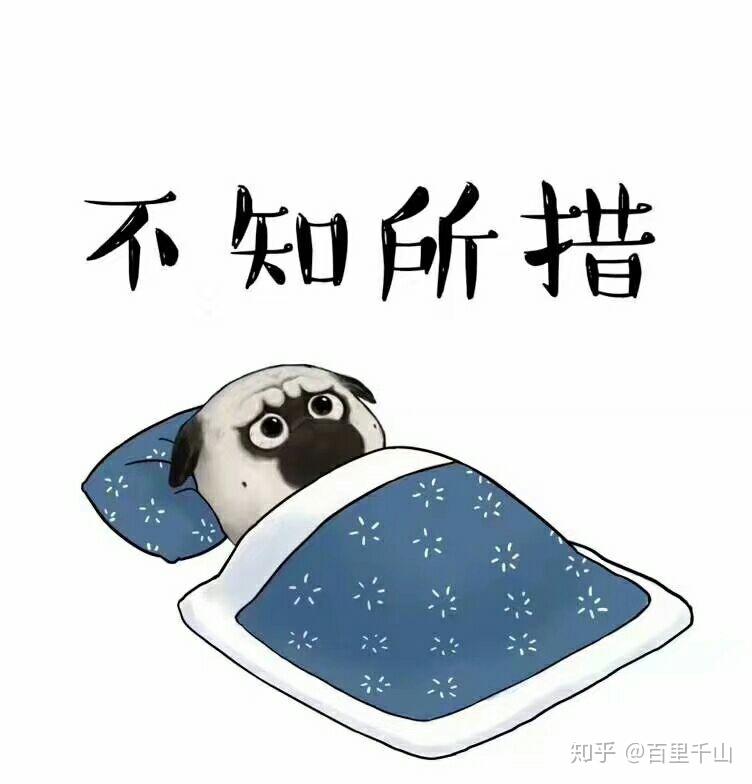 为什么总是有人喜欢一直问为什么呢? - 知乎