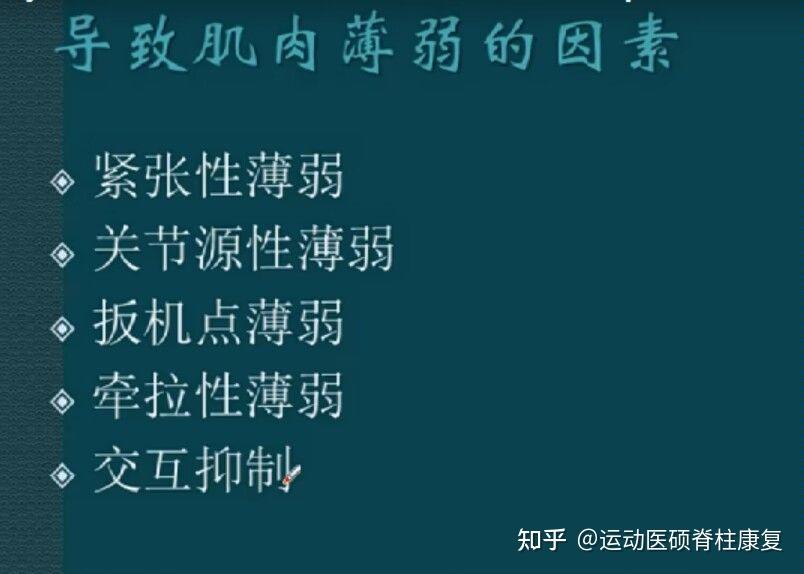 肌肉力量薄弱分病理分析与治疗3 - 知乎