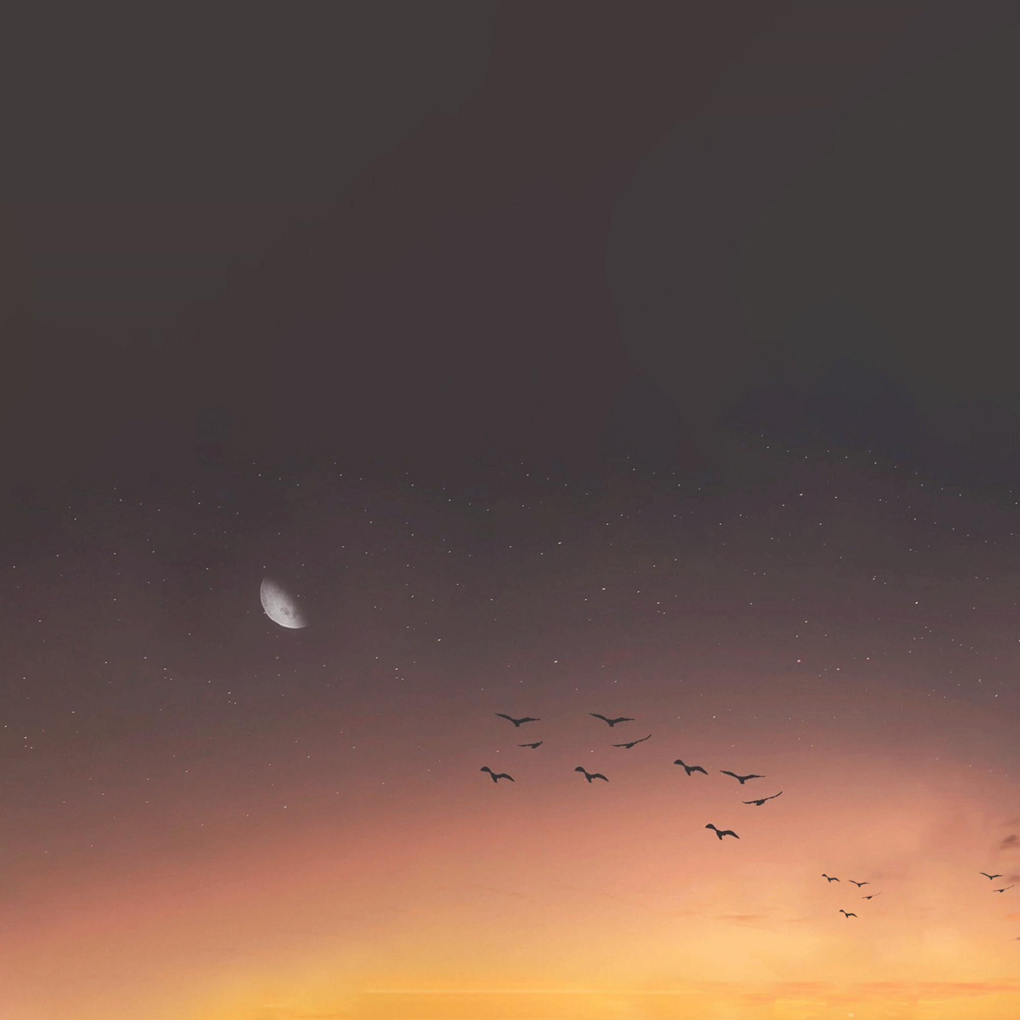 有没有微信头像背景是一套的那种图片