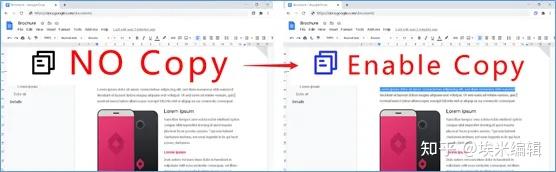 Copyfish 不可错过!10个Chrome神级插件,科研又快又帅的秘密道具 - 知乎