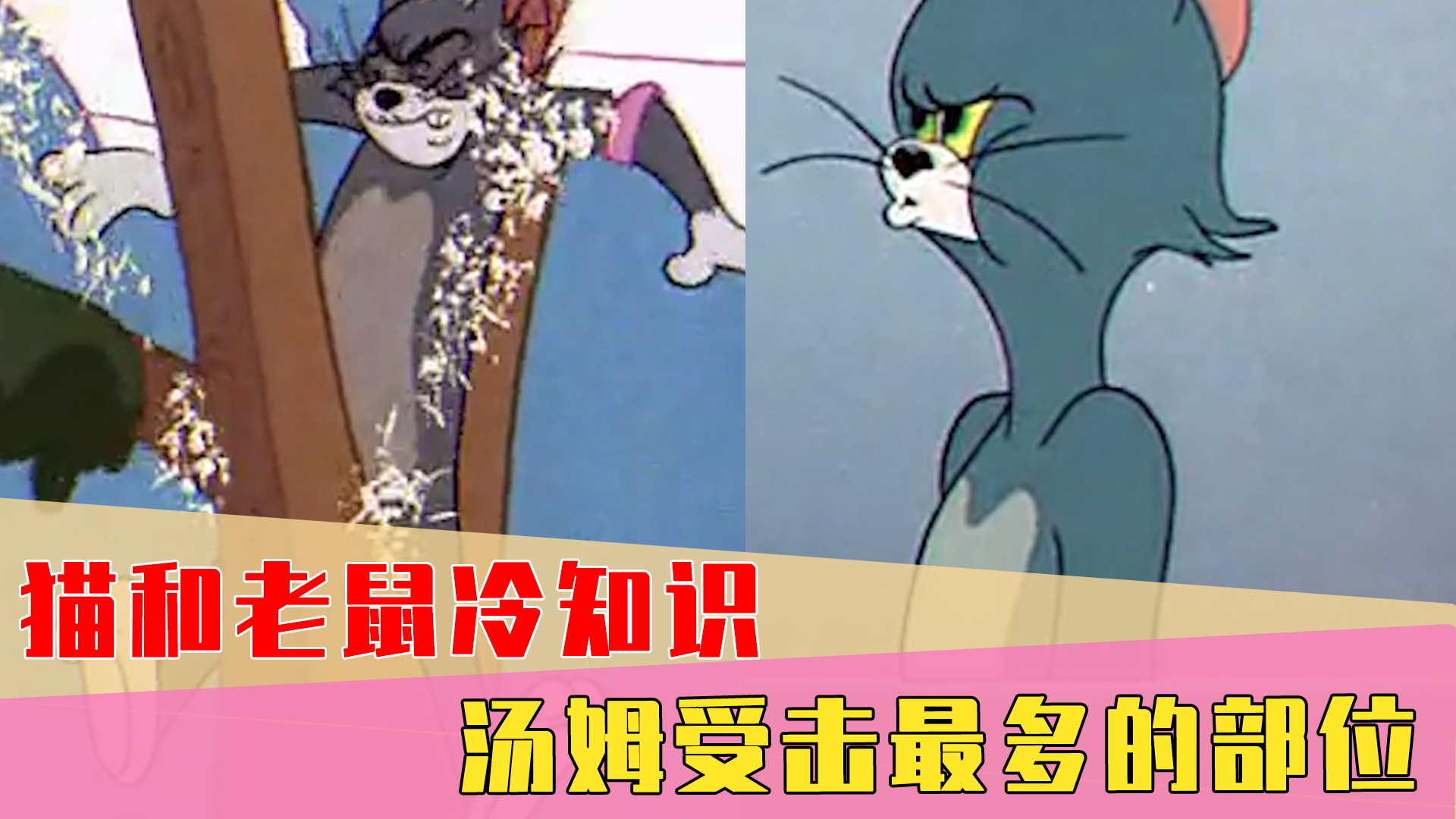 猫和老鼠冷知识图片