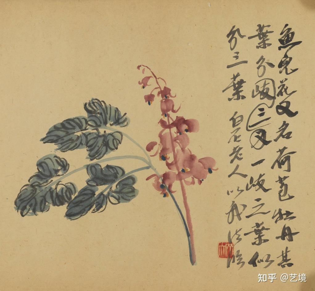 齐白石《花卉图稿》分享- 知乎