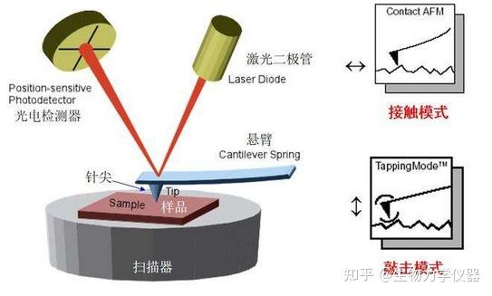 一文帮你解决AFM测试软物质数据不稳定问题 - 知乎