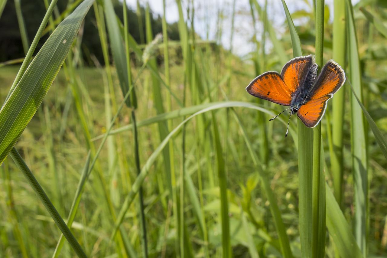 3. 轨道耐腐蚀性