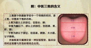 中医舌诊详解大全（独家讲义） - 知乎