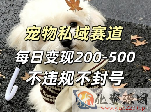 私域宠物项目赛道，单日变现2-5张，每天都可操作不违规不封号