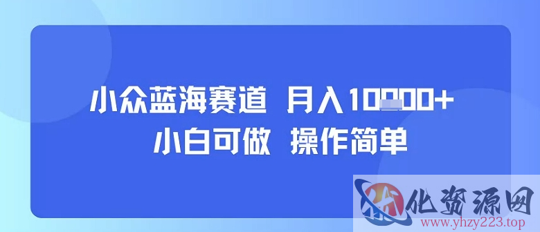 小众蓝海赛道，小白可做，操作简单，每天30分钟，月入1W+
