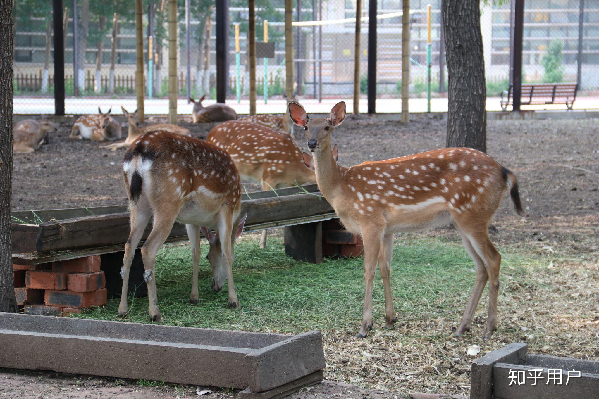 沈阳建筑大学综合来说怎么样? - 知乎
