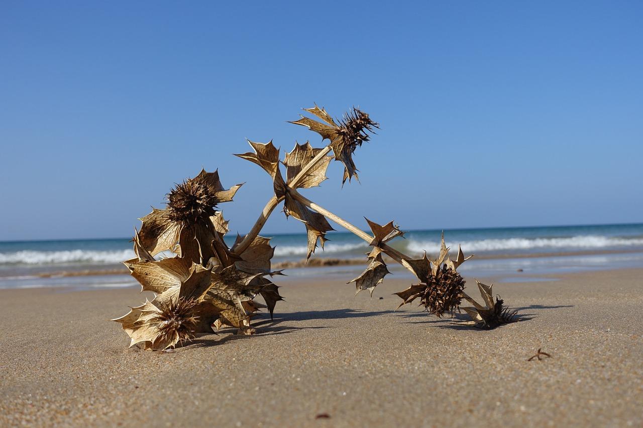 海甸岛景观房推荐