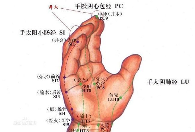 十指放血是否可以用于心脏病突发急救?
