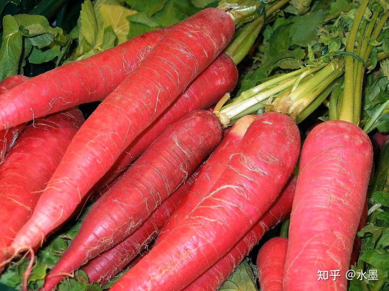 新鲜的红萝卜 库存照片. 图片 包括有 收获, 农事, 市场, 卡车, 蔬菜, 工作者, 种植者, 红萝卜 - 16060814