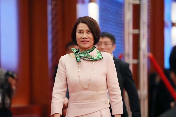 手机芯片汽车多元化之路董明珠从不认输