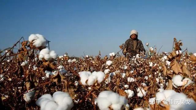 为什么国内没人提耐克阿迪侮辱新疆棉的事情了