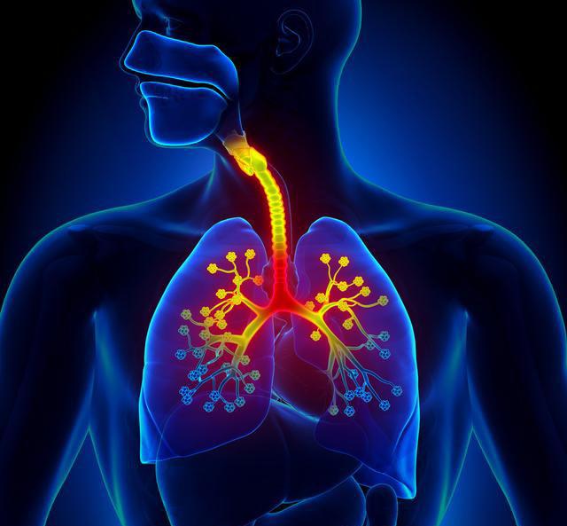 v2-219f12b769d137c31088f63bc6ef1652_1440w.jpg?source=172ae18b