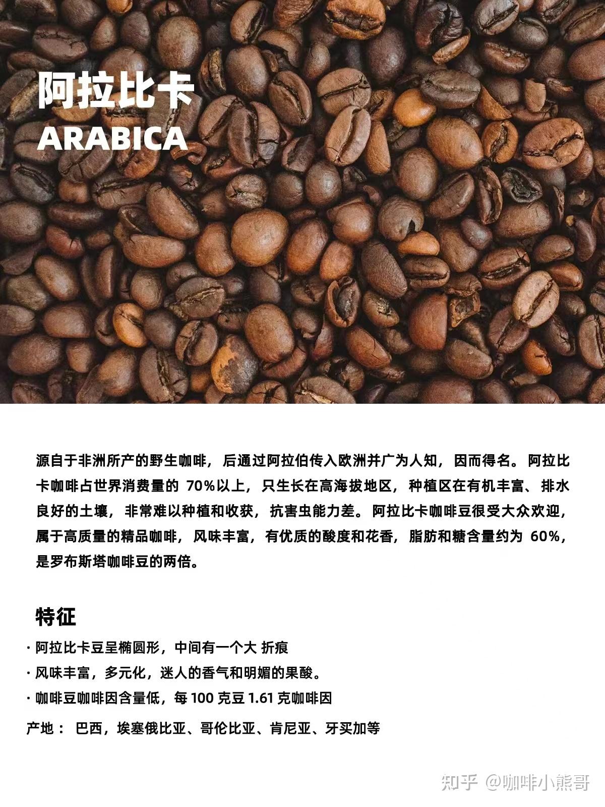 咖啡知识·4种咖啡豆大品种详解- 知乎