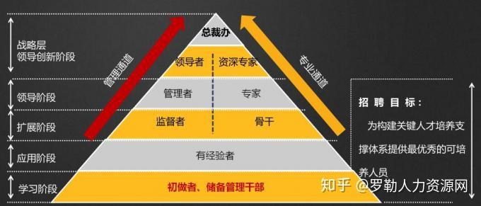 非人力资源管理专业可否从事