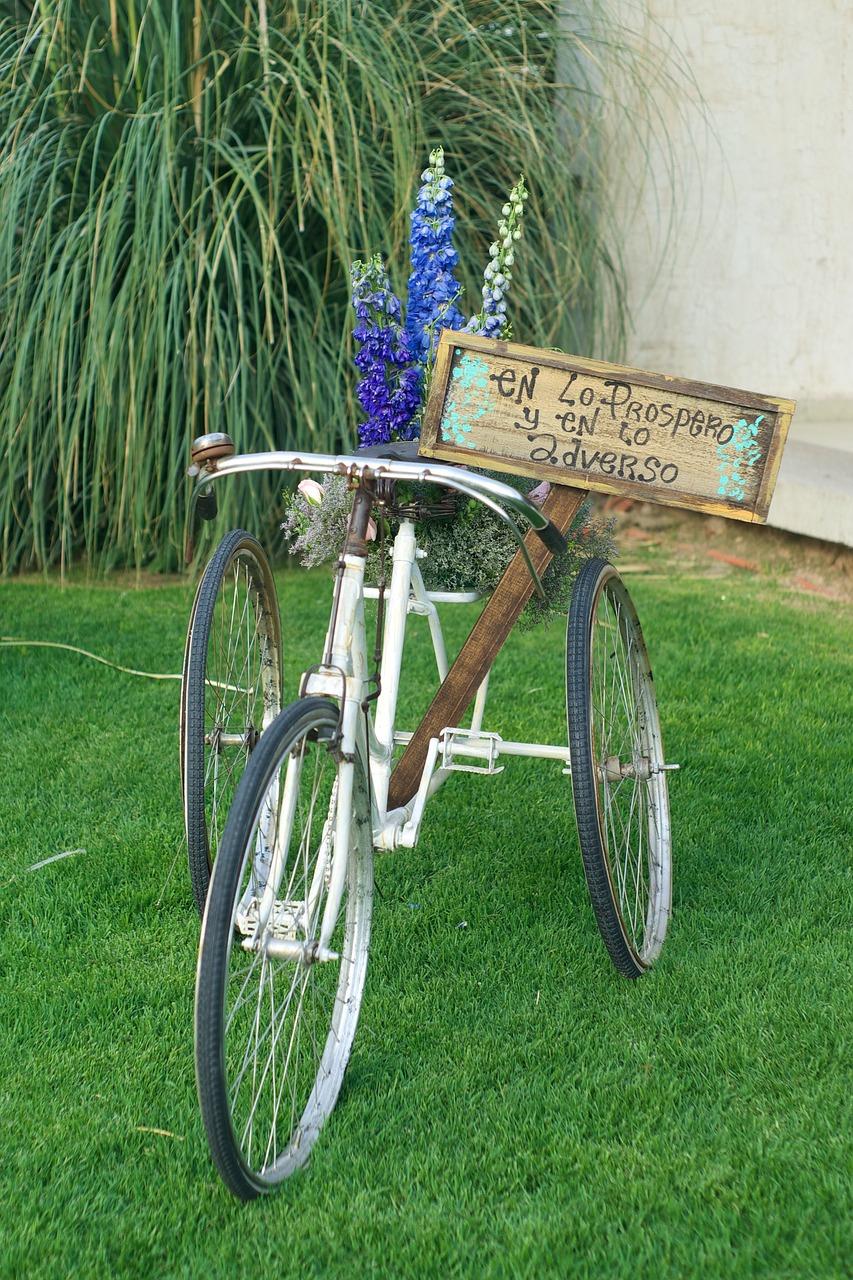 2. 修剪时机选择