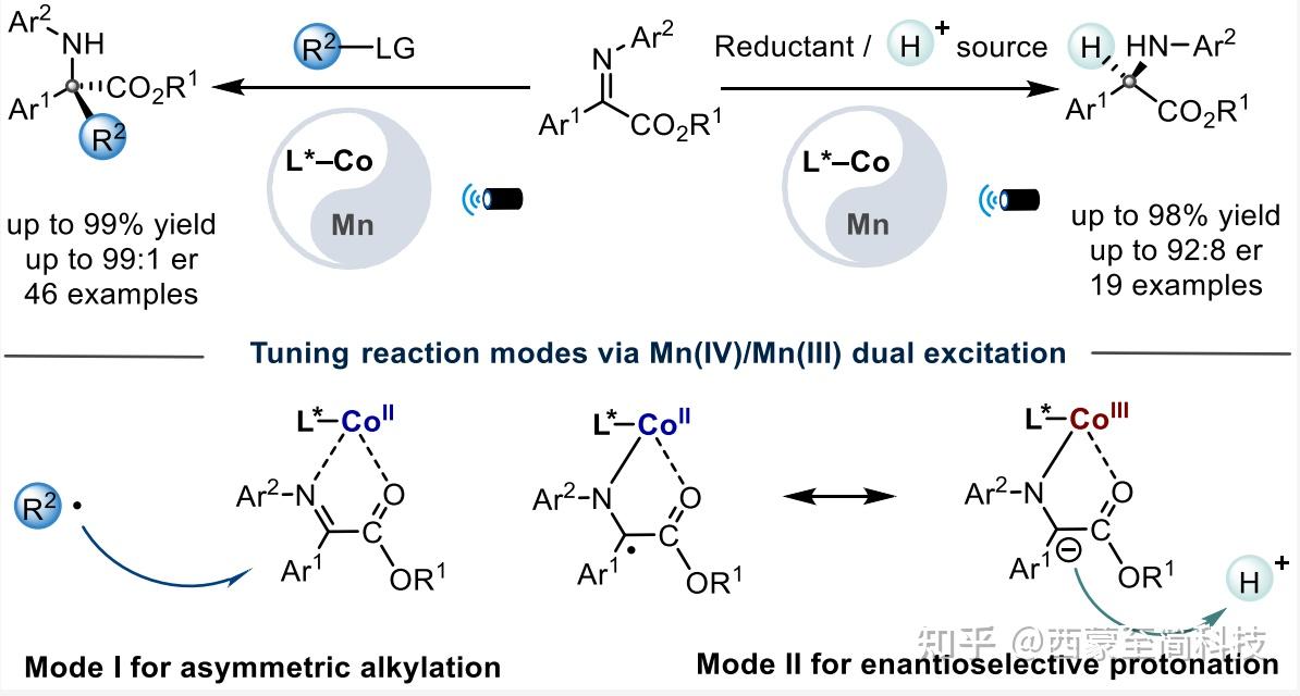 厦门大学龚磊/林玉妹团队 JACS:利用 Mn(IV)/Mn(III) 双激发配合物实现发散性光诱导不对称转化 - 知乎