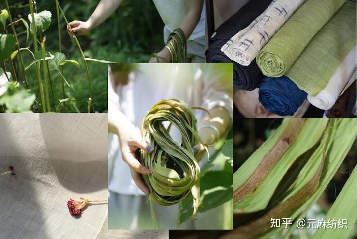 麻趣 | “非遗夏布”的千年传承 - 知乎