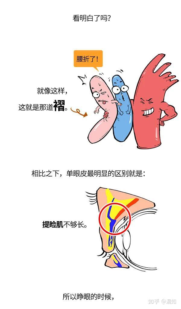 丹凤眼、桃花眼、杏仁眼…30秒自测眼型 - 知乎