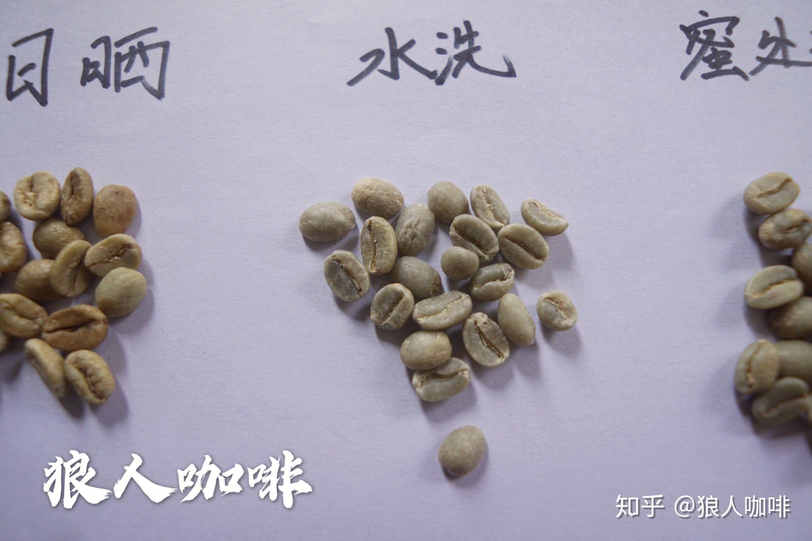 狼人咖啡烘焙经验分享 | 传统日晒与水洗的咖啡豆在烘焙上有什么不同？ - 知乎