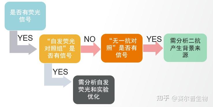 IHC/ICC/IF/mIHC傻傻分不清楚？实验原理及全流程+常见问题详解！ - 知乎