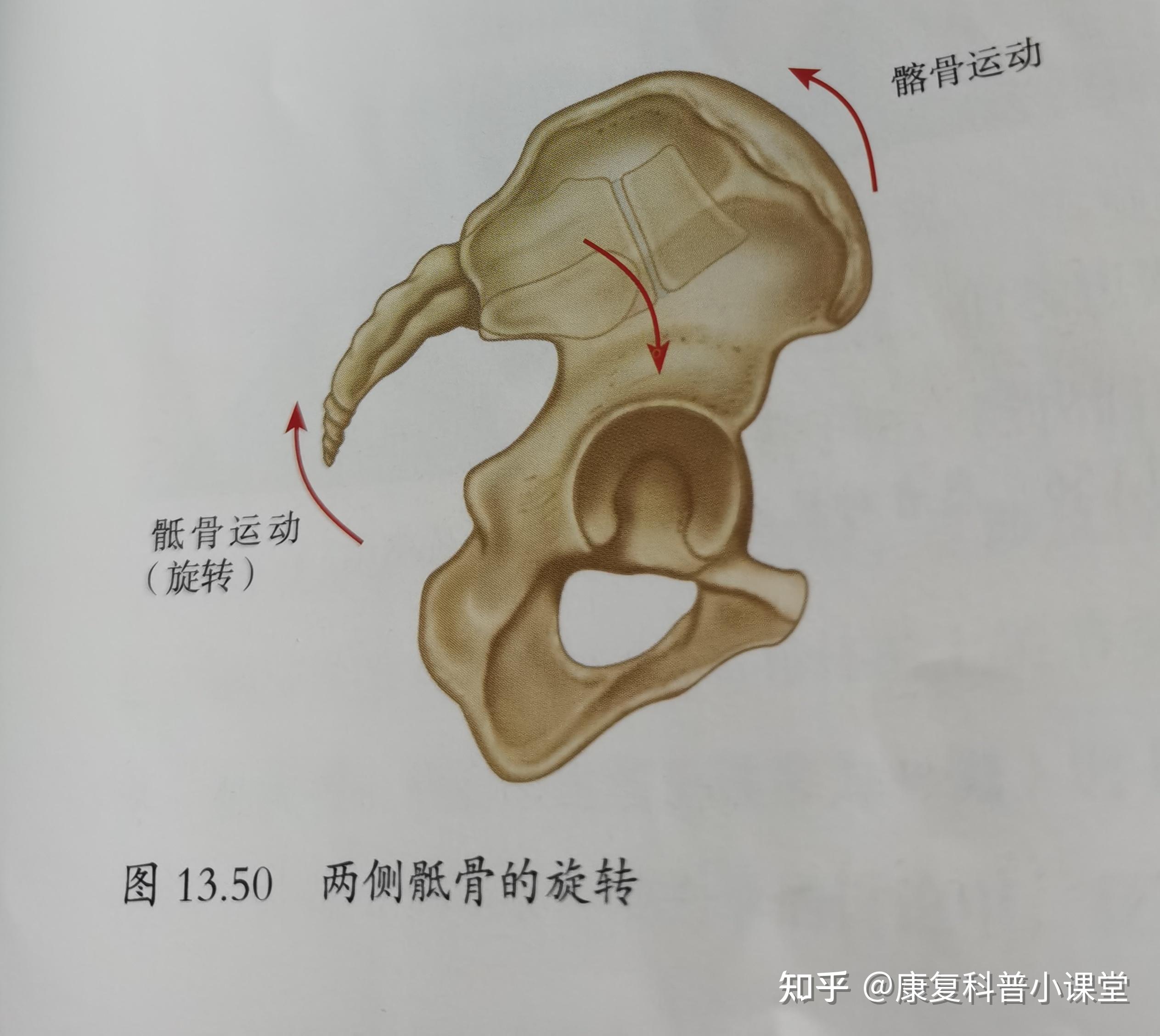 如何治疗盆骨倾斜