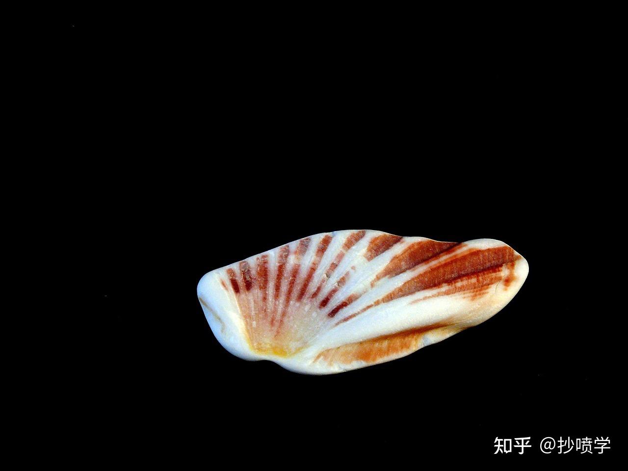 千古成语今日析--鞭驽策蹇 - 知乎