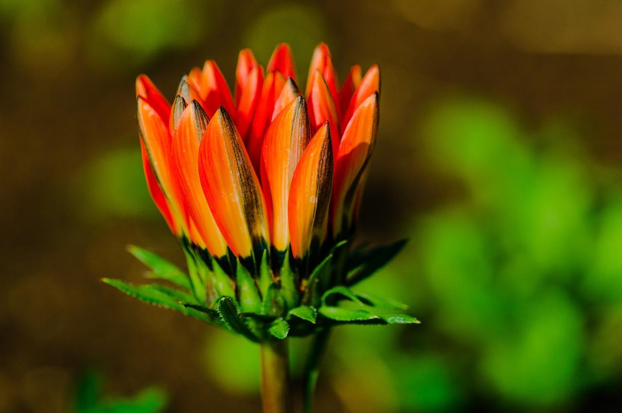 价格性价比对比