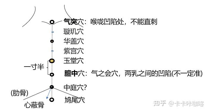 【中医学习】针灸大成4 - 初入任督脉、任脉经穴 - 知乎