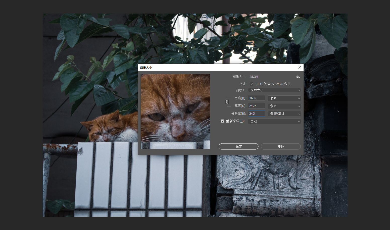各位大神怎么把一张15mb的图片改到10mb